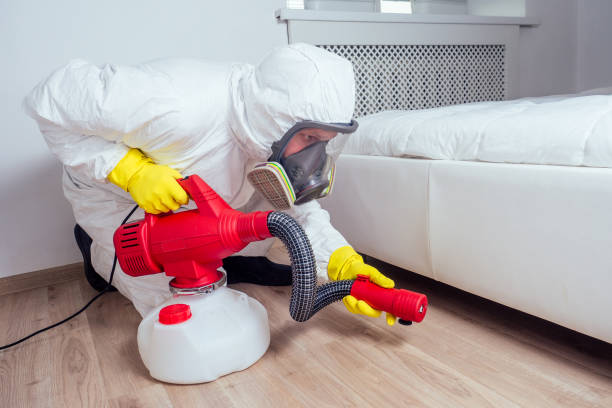 Professional Pest Control in Weatherford, TX