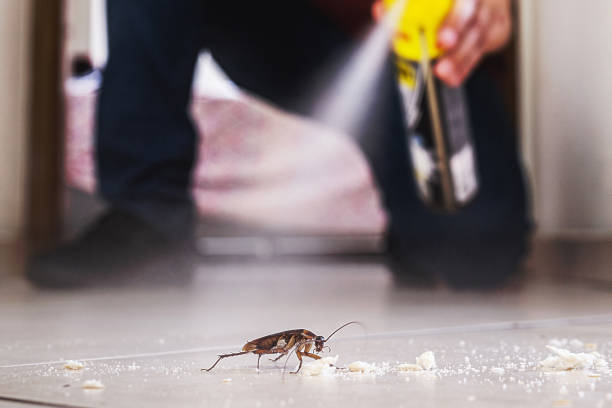 Best Pest Inspection Near Me  in Weatherford, TX