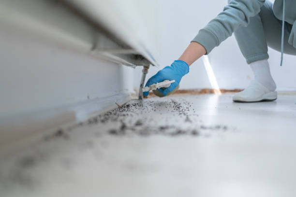 Best Pest Removal Services  in Weatherford, TX